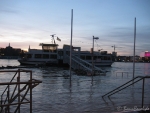 Hochwasser am 10.1.11 - Rheinnixe