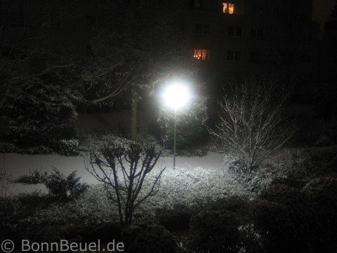 Schnee in Bonn Beuel