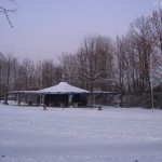 Beuel Blauer Affe im Schnee