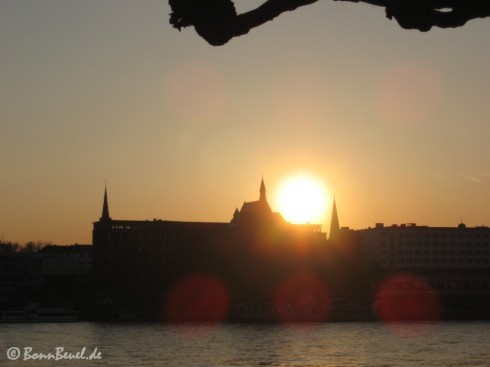 Sonnenuntergang am Rhein 31. März 2009