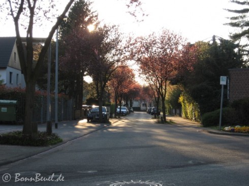 Ernst-Moritz-Arndt-Straße Elsa-Brändström-Straße - 09.04.09