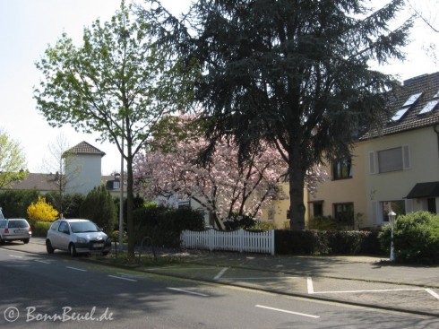 Limpericher Straße / Ringstraße 10.04.09