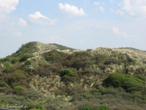 Zoutelande - Blick auf die Dünen