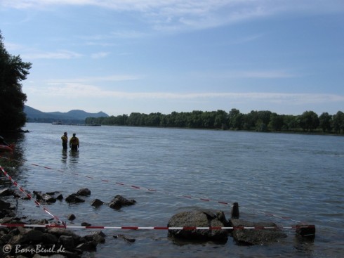 19. Bonn Triathlon: Rhein - Schwimmausstieg