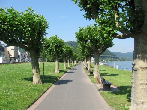 Geysir Andernach - 1: Erlebniszentrum 2: Anlegestelle Schiff