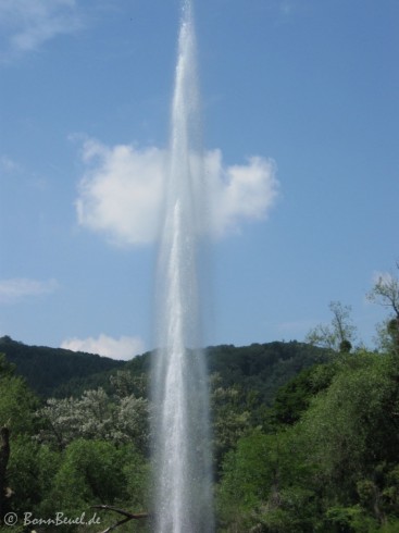 Projekt 52: Naturgewalten - Geysir Andernach