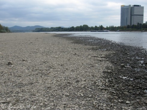 Projekt 52: Rhein Niedrigwasser, Postturm, UN-Tower am 03.10.2009