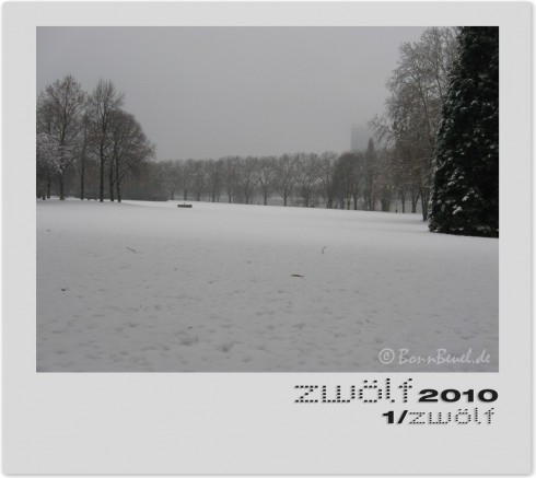 zwölf2010: Januar am Rhein (Kreuzherrenstraße)