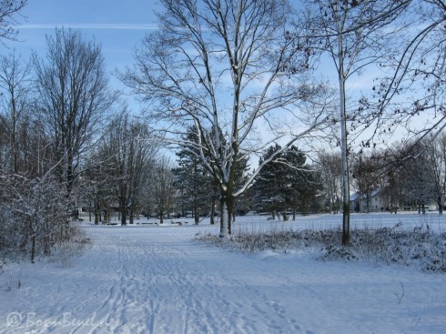 Blickrichtung Spielplatz (Elsa-Brändström-Straße)