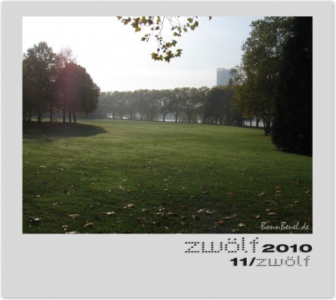 November Rhein zwölf2010