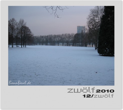 zwölf2010 Dezember Rhein