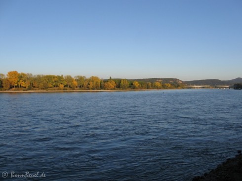 Herbst, Rhein 2011